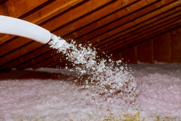 Best Insulation Inspection Services  in North Myrtle Beach, SC