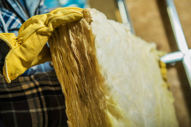 Best Attic Insulation Installation  in North Myrtle Beach, SC