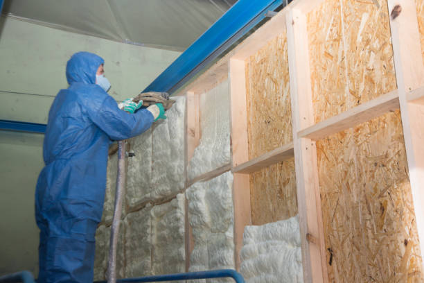 Best Insulation Removal  in North Myrtle Beach, SC